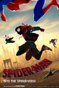 Poster for Spider-Man a December movie
